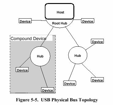 Physical / Logical Bus Topology H.