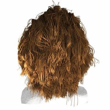 Hair Three hair geometry types: p0/r0 Cubic Bézier hair (Embree 2.