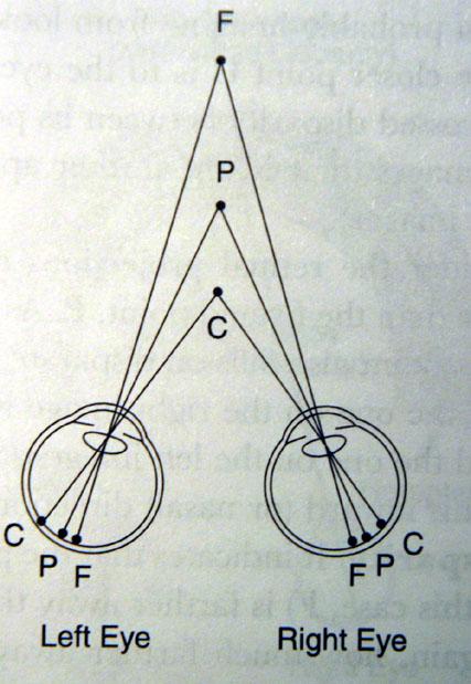 3. Depth from binocular disparity P: converging point C: object nearer projects to the outside of the P, disparity = +