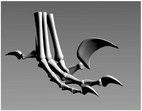 Silhouette Drawing Want to draw silhouette edge to emphasize shape Silhouette defined by points where surface normal is orthogonal to view vector V N = 0 Implementation for polygonal meshes: draw