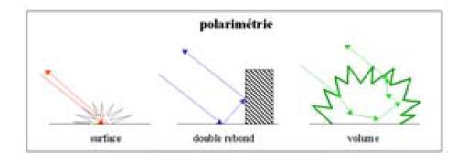 SAR Post-Processing: PolSAR Polarimetric SAR scattering mechanisms information on In full-polarimetric SAR systems, the signal is sent and received alternatively along two orthogonal polarizations