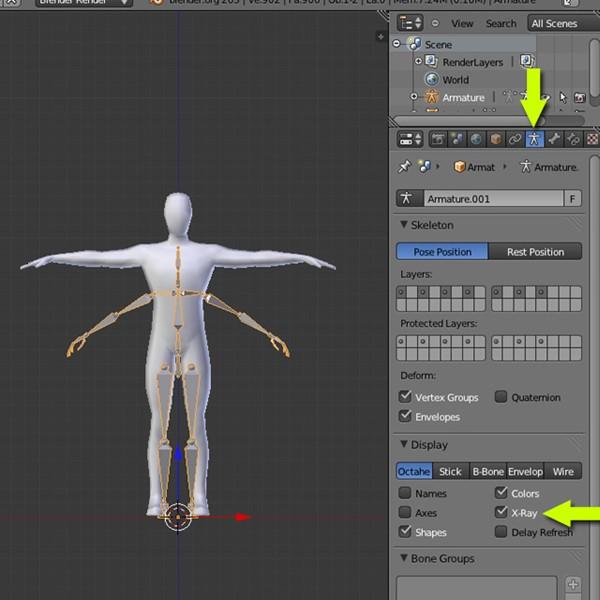 Step 4 With the Human Rig selected, go to the Armature Properties and in the Display