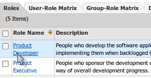 This assigns a Product Developer role to the user Brokerage Developer. Click Save at the bottom of the screen.