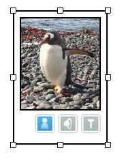 It can be used to introduce new topics, themes or vocabulary and encourage discussion. To add a Flashcard object to your page: 1.