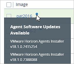 2 Select the check box next to the image you want to update. 3 Click Update Agent. The Agent Update wizard appears.