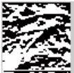 WAVELET TRANSFORM In Discrete Cosine Transform, the palmprint image is analyzed in single resolution.