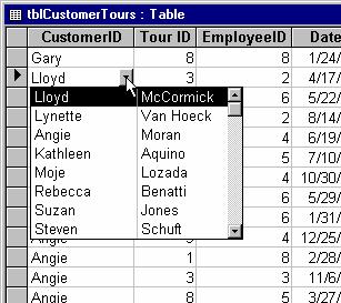 32 Microsoft Access 2002 Lesson 1-16: Creating a Lookup Field Figure 1-22 Lookup field A lookup list displays values from a table or query.
