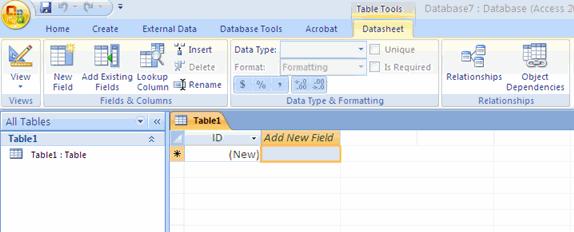 To go to Datasheet View: Click the down arrow on the View button Click Datasheet View Adding New Fields There are many ways to enter new fields into a database.