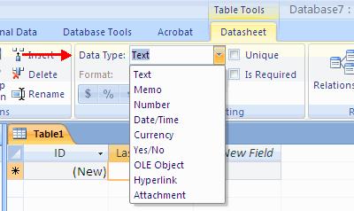 Click the down arrow next to Data Type Choose the type of data that will be entered into the field To edit the format of