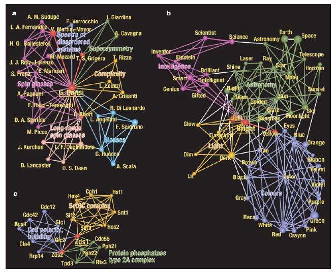 k-clique communities in real networks a.