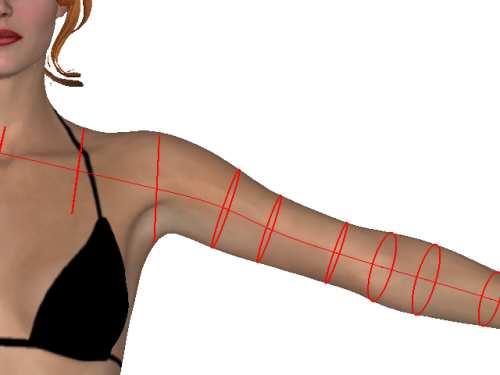 motion capture data. The sweep surfaces deform as the joint angles change. The user can further edit the sweep surfaces to improve the visual realism of the shape deformation.