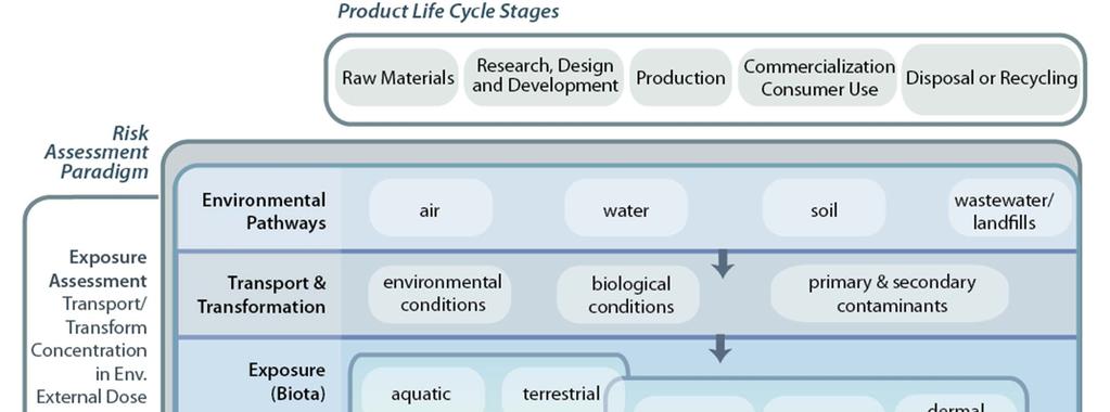 r Product Life Cycle Stages Research, Design Commercialization Raw Materials and Development Production Consumer Use Disposal or Recycling Risk Assessment r