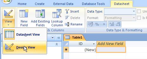 4. Create a Table The first table is automatically created for you in Datasheet View.