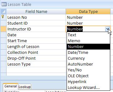 2. Another locally stored file. 3. A web page. 4. An e-mail address. To select the data type of any field click into the data type cell and select the required type from the drop down menu.