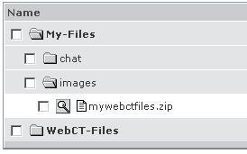 Congratulations, a zipped file now appears on your Folder and Files listing.
