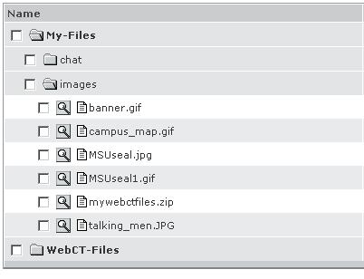 At the Manage Files page, select the mywebctfiles.zip file by clicking the check box. Then select the Unzip button in the Options: Files section. 2.