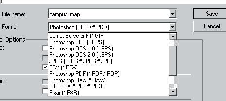 File Formats Photoshop allows you to create and save files into many different formats.