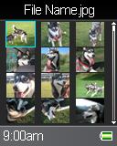 Select and press the Navigator key or the PLAY key on a file to view. Thumbnails of the first 12 photos stored will show in the display.
