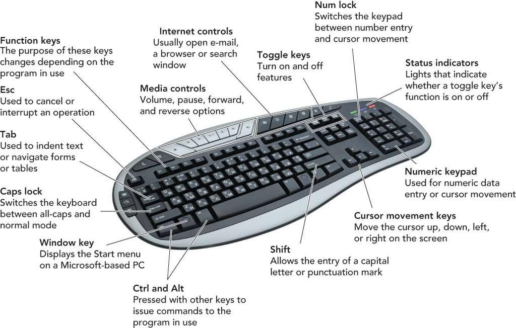 Input Devices: Giving Commands Copyright 2012
