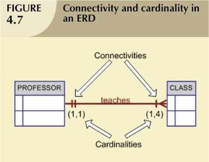Connectivity and Cardinality Connectivity Used to describe the relationship classification Cardinality Expresses minimum and maximum number of entity