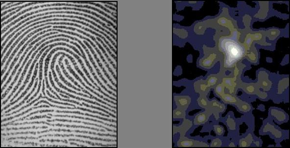 This advantage seems to be usable to improve the robustness about image rotation in fingerprint classification, however the classification method in [3] also has the robustness in itself and hence