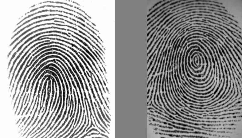 (a) (b) Figure 5. Fingerprint samples from FVC2002 database subsets: DB1_B (a) and DB2_B (b).