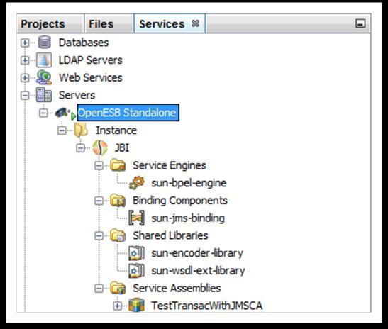or more instances of OpenESB Standalone Edition and allows the user to deploy, control and test her/his OE applications