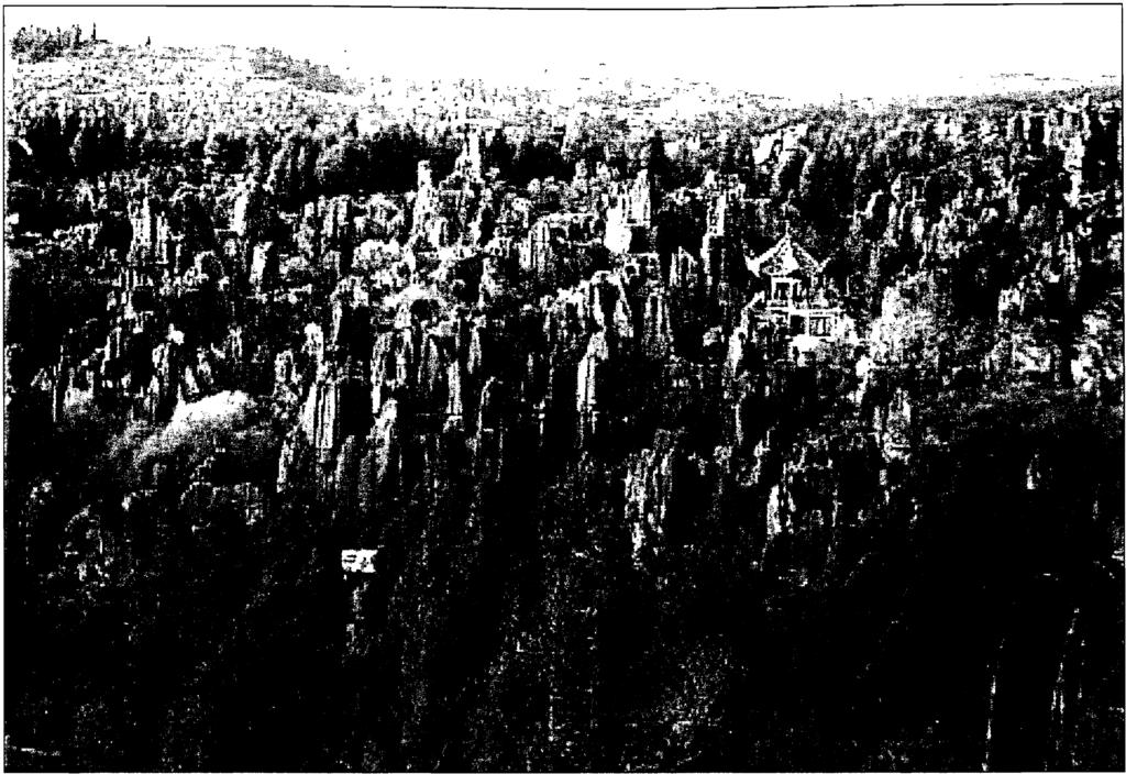Figure 3. A picture of the Stone Forest Landscape in Lunan, China (Joo, 2002).
