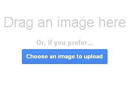 On the top toolbar, click on to insert a picture. 24. Click the Upload tab to reveal the Choose an image to upload.