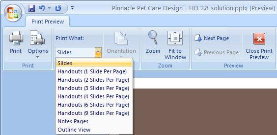 USING PRINT PREVIEW Displays Print dialog box To determine the type of output Zoom in or out of previewed slide Quickly zoom so the slide fits the