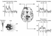 selection or to generate a brain map of p values position class. Hassabis et al. (2009), Current Biology.
