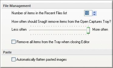 SnagIt 9.0 Advanced Settings Screen Help File PDF SnagIt Editor > SnagIt button > Editor Options button > Advanced button.