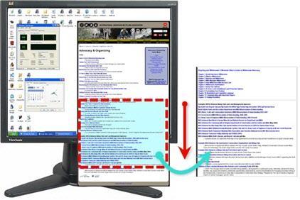 Help File PDF SnagIt 9.0 Region of Web Page Not Visible In Browser Window Setup Instructions 1. In SnagIt, select Image capture mode. 2. For the Input, select Scrolling option > Auto Scroll Window. 3.