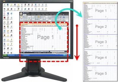 SnagIt 9.0 Spreadsheet Longer than the Application Window Help File PDF Setup Instructions 1. In SnagIt, select Image capture mode. 2. For the Input, select Scrolling option > Scrolling Region. 3.