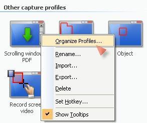 Help File PDF SnagIt 9.0 Profile Context Sensitive Menu Options Right-click on a profile or group of profiles to open the context menu.