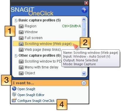 Help File PDF SnagIt 9.0 SnagIt OneClick The Fastest Way to Capture Profiles are automatically synched to SnagIt OneClick.