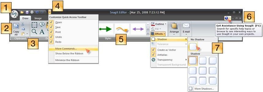 SnagIt 9.0 Help File PDF The Ribbon Tabs The Ribbon helps you quickly find the tools and options you need to complete a task.