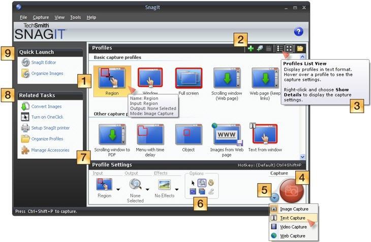 Help File PDF SnagIt 9.0 SnagIt Interface Overview A Profile includes an Input, Output, and Effects combination.