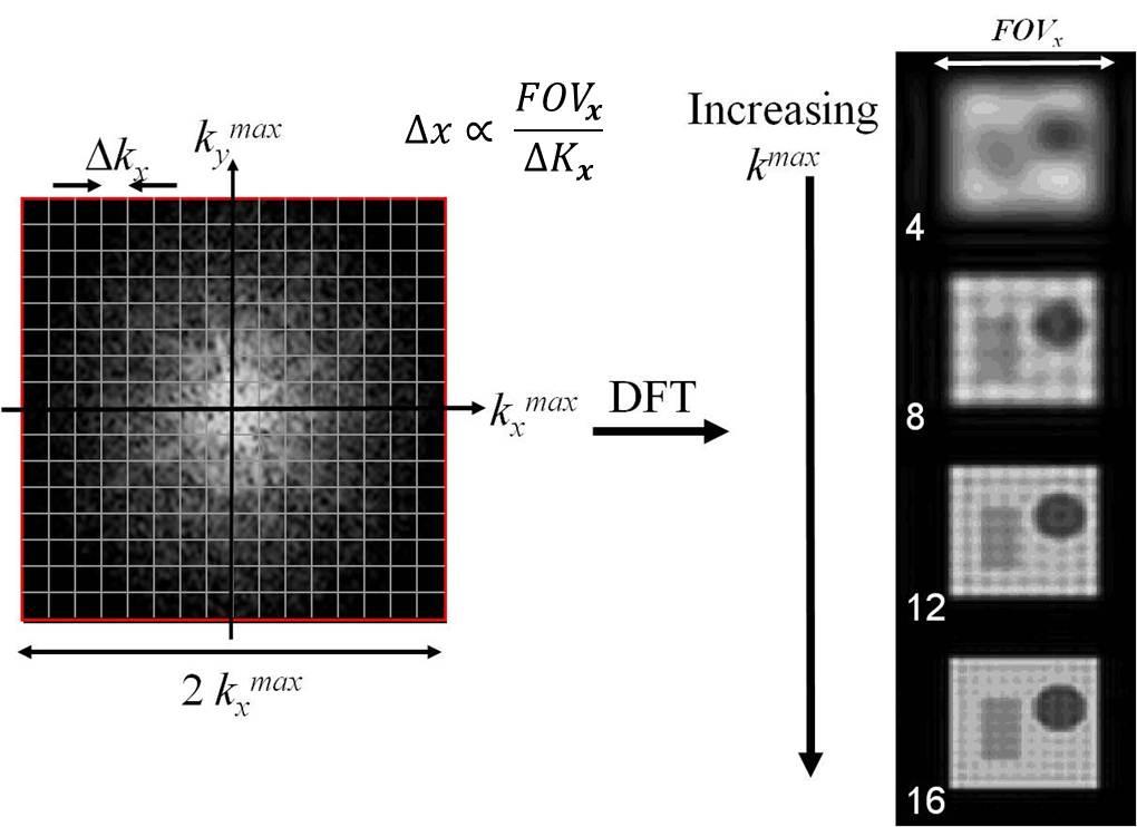 16 CHAPTER 2. MAGNETIC RESONANCE IMAGING Therefore the image resolution is inversely proportional to the maximum extent of the covered k-space sampled as illustrated in Fig.(2.5) 1. Figure 2.