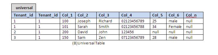 3.2 Universal Table The universal table layout holds a large number of generic data columns with a flexible data type such as VARCHAR data type.