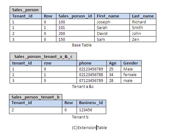 In addition, two unique columns, Tenant_id and Table columns are used: Tenant_id identifies tenants from each other, whereas the Table column identifies the specific table of the same tenant.