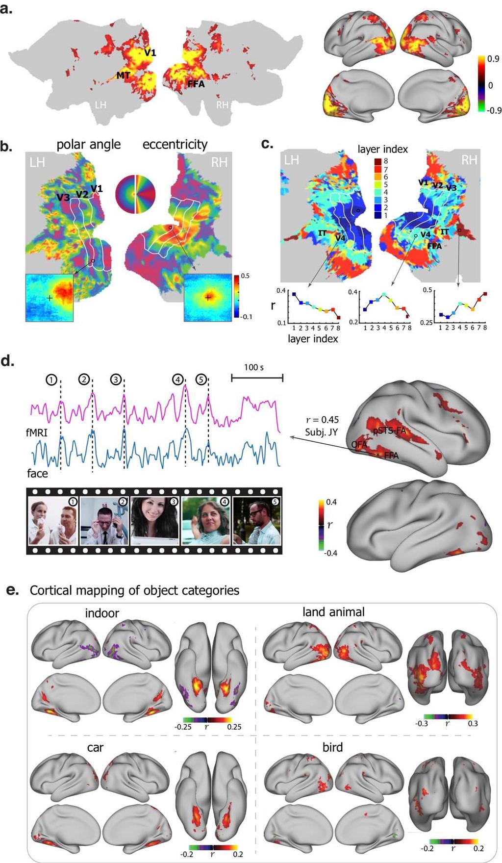 Figure. 2. Functional alignment between the visual cortex and the CNN during natural vision (a) Cortical activation.