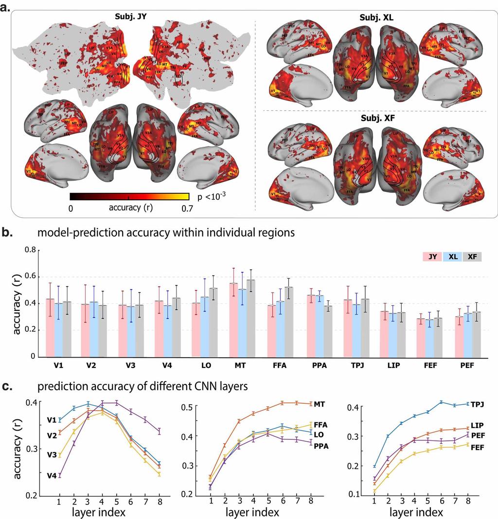 Figure. 3. Cortical predictability given voxel-wise encoding models.