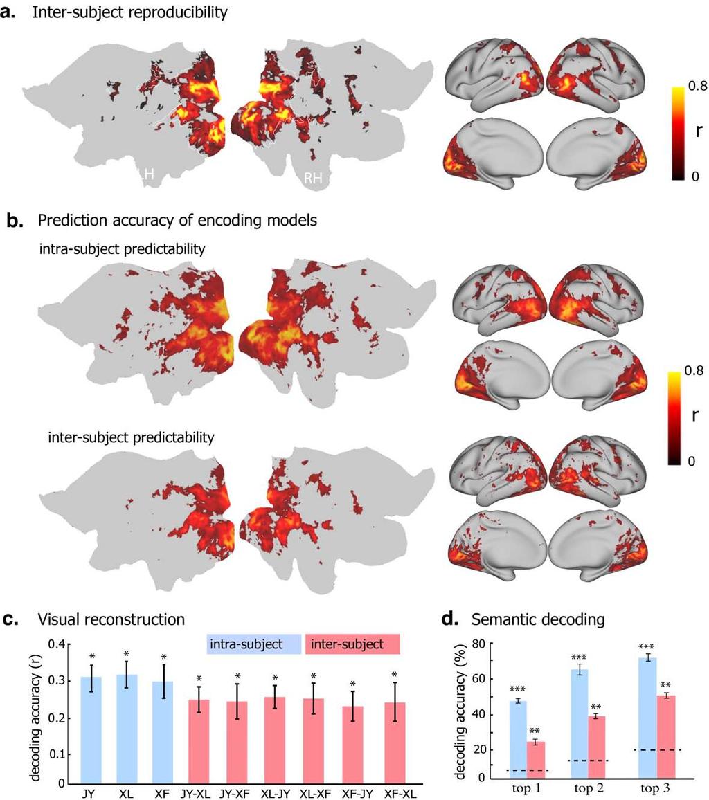 Figure. 10. Encoding and decoding within vs. across subjects. (a) Average inter-subject reproducibility of fmri activity during natural stimuli.