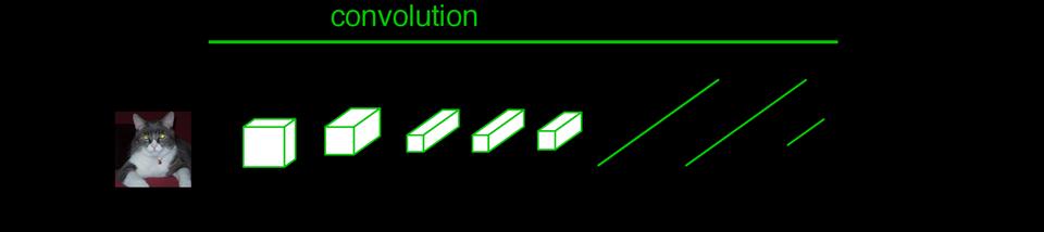 Convolutionalization # filters, e.g.