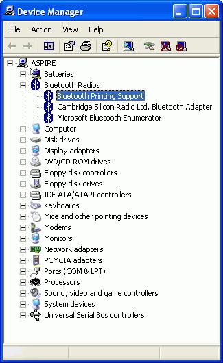 MORE LOOK ON BLUETOOTH DRIVER The item with the label Bluetooth Printing Support will be added to