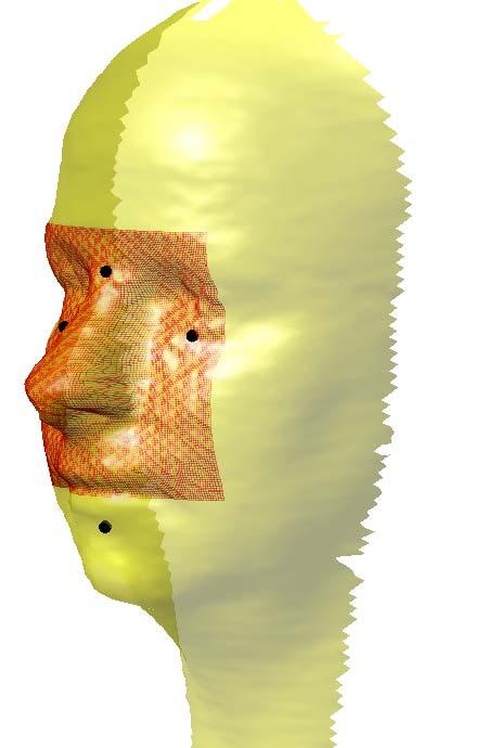 Head shape: PCA based 3D Surface Normalization and Registration We use Landmark pts L1, L2, L3, L4 to properly position and align the 3D face