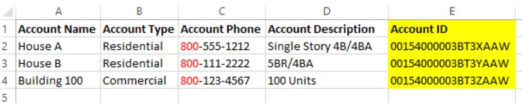 The existing Salesforce Account ID field is included in the data file to be uploaded, along with the phone number updates. After the file has been uploaded, note the changes in the phone number field.