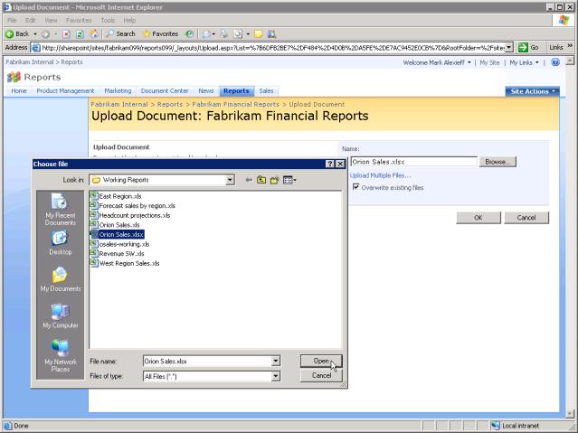Excel Services 2003 Client Experience