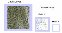 This is very clearly seen by our simulation results. Convolution is performed at each compression level and the tempering matrices used are remaining unchanged.